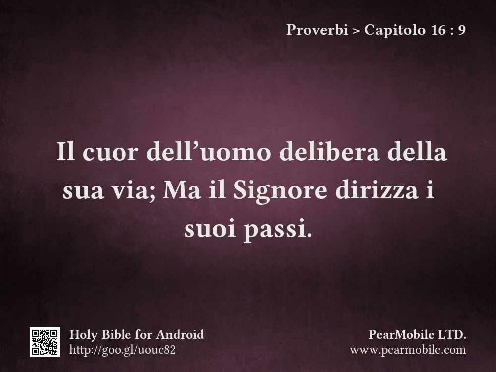 Proverbi, Capitolo 16:9